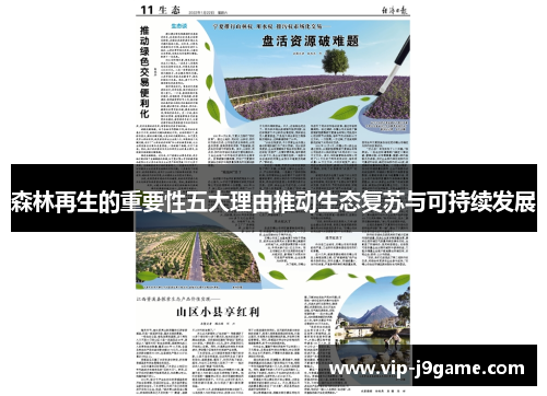 森林再生的重要性五大理由推动生态复苏与可持续发展 森林再生的重要性五大理由推动生态复苏与可持续发展